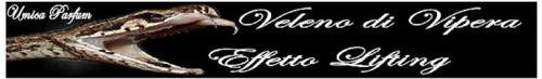 banner_vipera.jpg