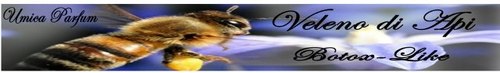 banner_api.jpg
